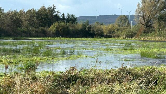 Local landowners say that some farmland has now flooded for the first time. <p>Local landowners say that some farmland has now flooded for the first time.</p>