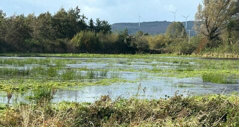MEP calls for urgent action to protect farmers and property owners over rewetting flooding fears