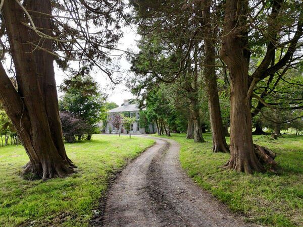 The approach to this historic residence is by entrance gates with a sweeping tree lined driveway offering maximum privacy.
