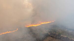 Farmers with burnt land in Gorthaganny ‘cannot be punished’ - Kerrane tells Minister