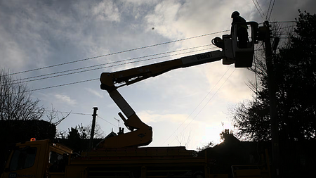 Landowner in dispute with ESB over tree trimming says damage caused is €64,000