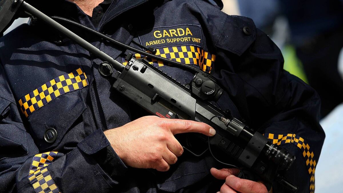 Armed Support Unit involved in operation in County Roscommon village