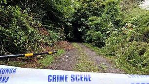 Emma Costello McCrory murder: Killer stole 'beautiful' mother's future