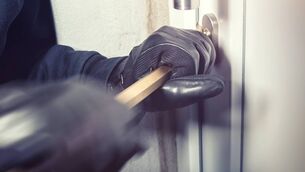 <p>A 43-year-old man was on bail when he took part in a burglary spree in the county last August, Roscommon Circuit Court heard.</p>