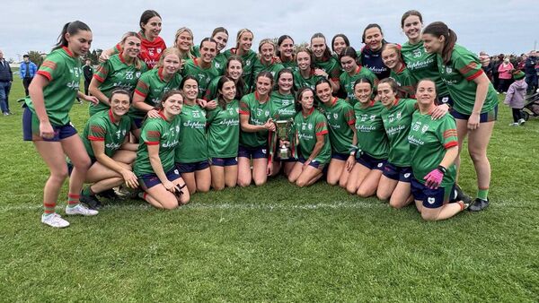Nolan’s tour-de-force brings redemption for Brigid’s
