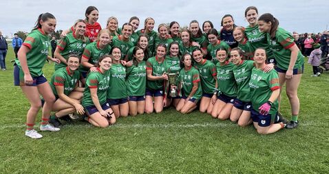 Nolan’s tour-de-force brings redemption for Brigid’s 