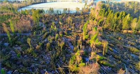 Storm Éowyn clean up cost council over €1 million