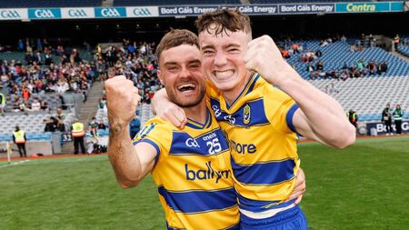 Four Roscommon hurlers named on Team of the Year