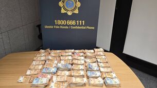 <p>The €383,000 recovered during a Garda operation.</p>