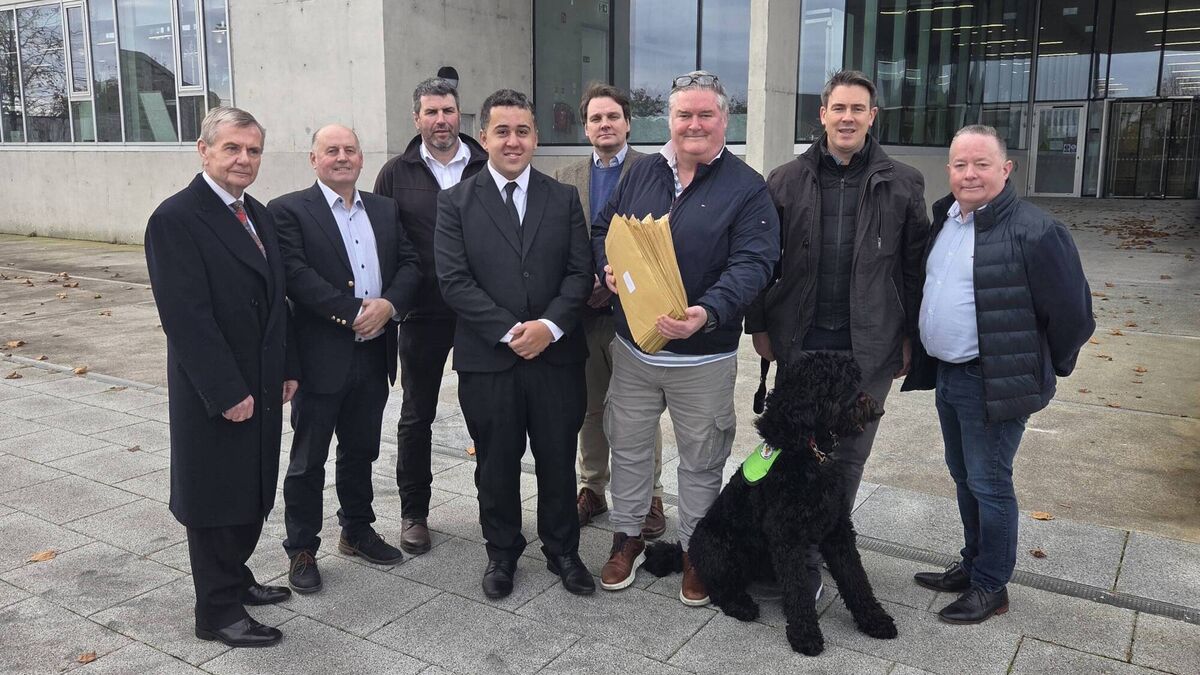 Watch video: 150 objections lodged against Roscommon windfarm plans