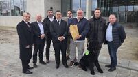 Watch video: 150 objections lodged against Roscommon windfarm plans