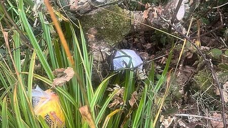 Animal charity outraged after kitten found suffocated in plastic bag and dumped in Donegal