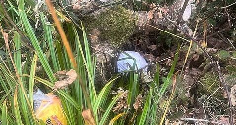 Animal charity outraged after kitten found suffocated in plastic bag and dumped in Donegal