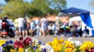 2026 local summer show cancelled due to “lack of volunteers" 2026 local summer show cancelled due to “lack of volunteers"