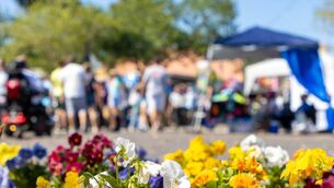 <p>The 2026 Boyle Summer was planned for August of next year. Pic: iStock</p>