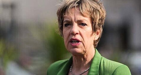 Fine Gael attacks on Connolly’s work as a barrister ‘dangerous’ and ‘Trumpian’