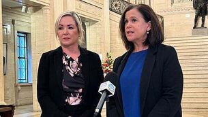 Storm Éowyn: Army should be called in to help vulnerable, TD says