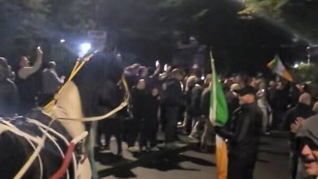 Animal welfare charity condemns use of horses in Citywest protest