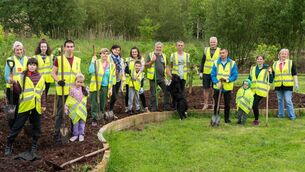 <p>Carrick Tidy Towns volunteers planting trees and flowers in the beds at the biodiversity area of the Linear Park. Pic. Gerry Faughnan </p>