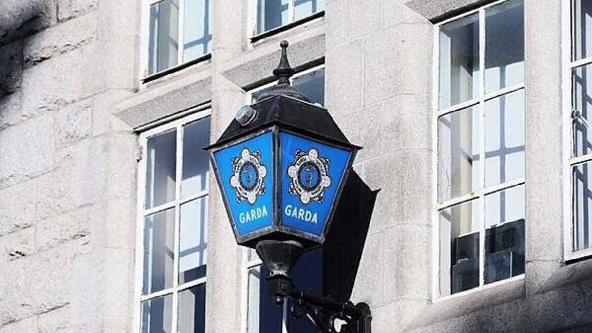 Man (20s) seriously injured in Kildare assault