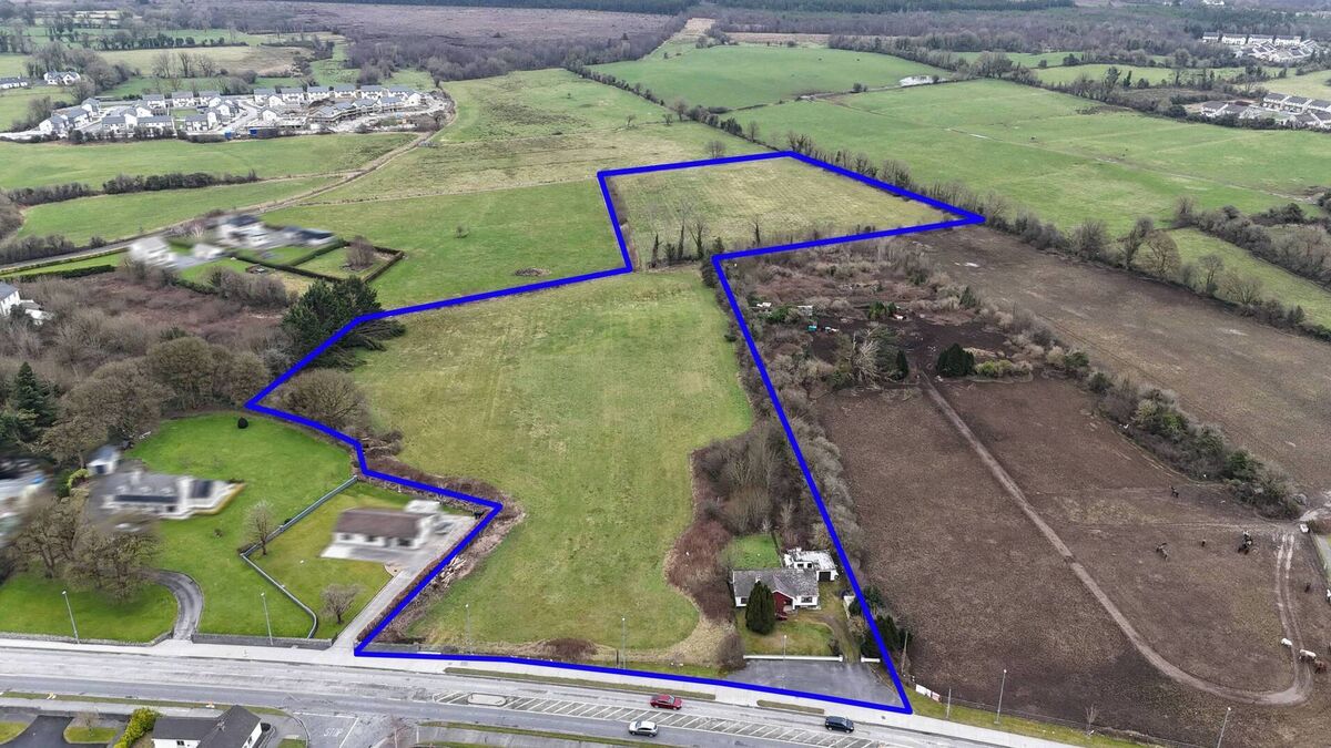 County Roscommon residence on 10 acres sells via online auction for €2.7m