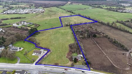 County Roscommon residence on 10 acres sells via online auction for €2.7m