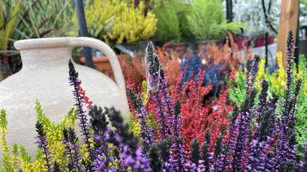 County Roscommon garden centre forced to temporarily suspend home deliveries