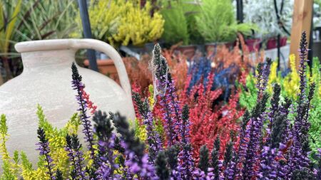County Roscommon garden centre forced to temporarily suspend home deliveries