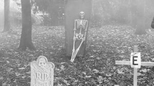 Emergency services warn public to take extra precautions over Halloween Emergency services warn public to take extra precautions over Halloween