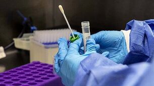 Custodial sentence 'inevitable' for former Kilkenny hurler DJ Carey, Judge tells court