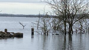 Delay to Lough Funshinagh permanent solution