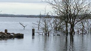 <p>Flooding at Lough Funshinagh, South Roscommon in March of last year.</p> <p>Flooding at Lough Funshinagh, South Roscommon in March of last year.</p>