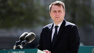 Gardaí conclude that roaming ‘lion’ was actually a dog