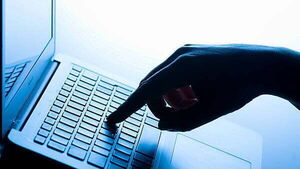 Over half of investment scams reported by customers aged 65 and older