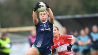 Barry's and Brigid's to fly the Roscommon flag in Connacht LGFA finals