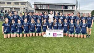 <p>The St. Barry's intermediate ladies' football panel ahead of Saturday afternoon's Connacht LGFA final against Caltra Cuans in Kiltoom. Picture: Roscommon LGFA</p>