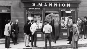 New video gives life to Cindy's famous visit to Castlerea pub
