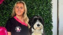 County Roscommon dog groomer nominated for national award