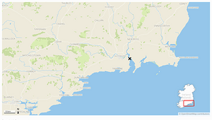 HSE boss apologises to Harvey’s parents for being ‘let down’ by system