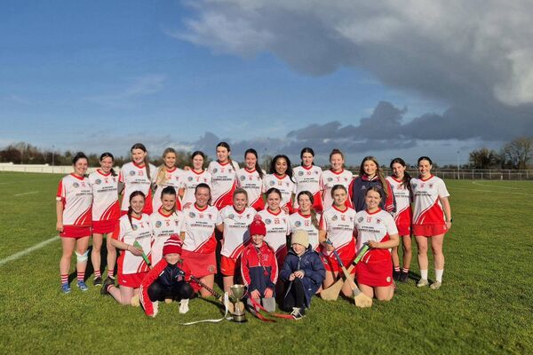 The Pádraig Pearses junior camogie panel that defeated Four Roads by 2-13 to 1-3 to win the Roscommon Junior A Camogie Championship.
