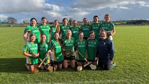 <p>The Oran Junior B camogie panel that defeated Tulsk by 5-3 to 2-9 to be crowned county champions. </p>