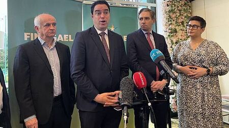 ‘Concern’ at three bird flu outbreaks early in high risk period – Minister