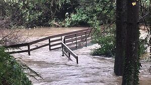 Storm Claudia: Wexford remains on high flooding alert