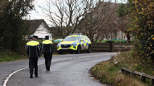 Five young people who died in Louth collision are named Five young people who died in Louth collision are named