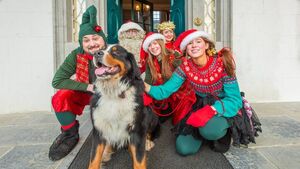 Experience an enchanting Victorian Christmas at Strokestown Park