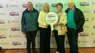 <p>Eileen Kenny, who is stepping down as chairperson of Ballintubber Tidy Towns, pictured with committee members at the Tidy Towns awards ceremony.</p>