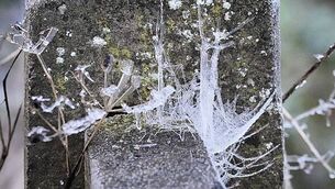 Garry Moroney appointed new chief executive of The Irish Times Group