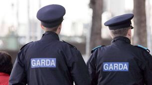 <p>A council spokesperson said that gardaí are also reviewing available CCTV footage as part of their inquiries.</p> <p>A council spokesperson said that gardaí are also reviewing available CCTV footage as part of their inquiries.</p>