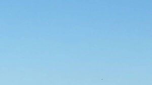 Initial examination completed at site of fatal plane crash in Waterford