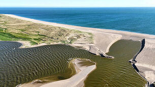 'Gentle lady' who was fatally stabbed in Cork to be laid to rest next week